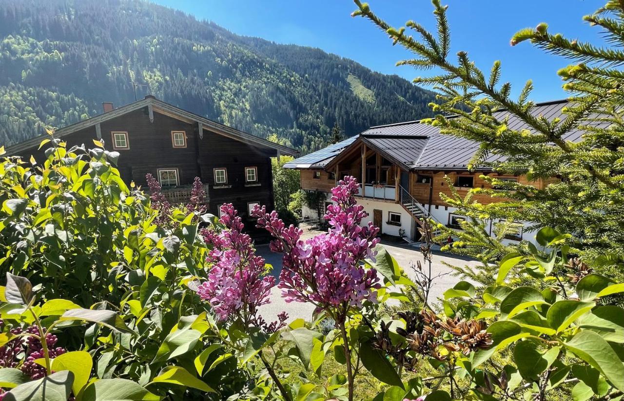 Arlerhof Apartment Untertauern Ngoại thất bức ảnh